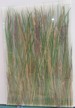 Glasplatte mit einlaminierten , natürlichen Gräsern und mittig Satinatofolie, 760 x 506 x 16 mm Glasplatte mit einlaminierten , natürlichen Gräsern und mittig Satinatofolie, 760 x 506 x 16 mm