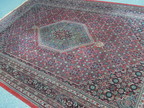 Teppich 62, 303 x 206 cm Teppich 62, 303 x 206 cm