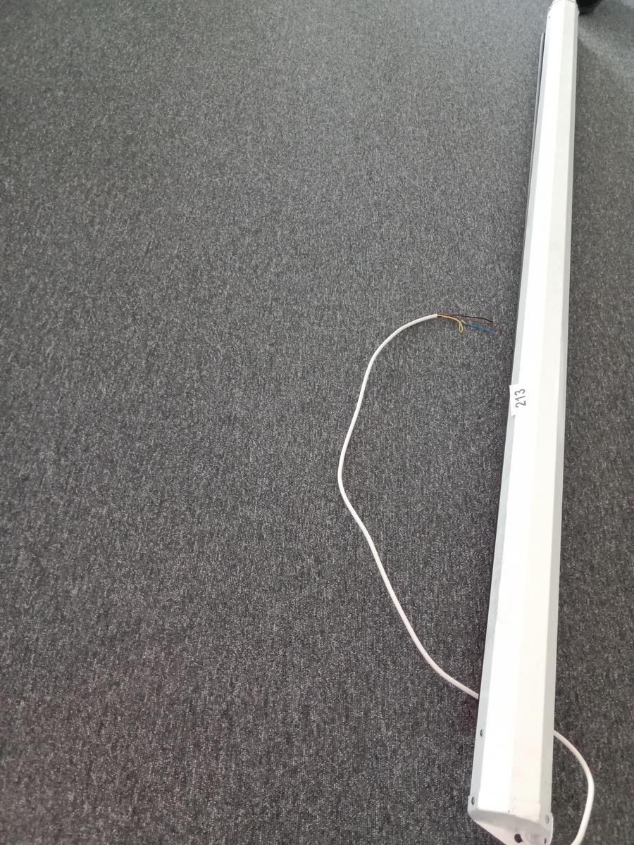 Beamer Leinwand elektrisch ca.  230 cm?d=2025-07-01 20:59:12