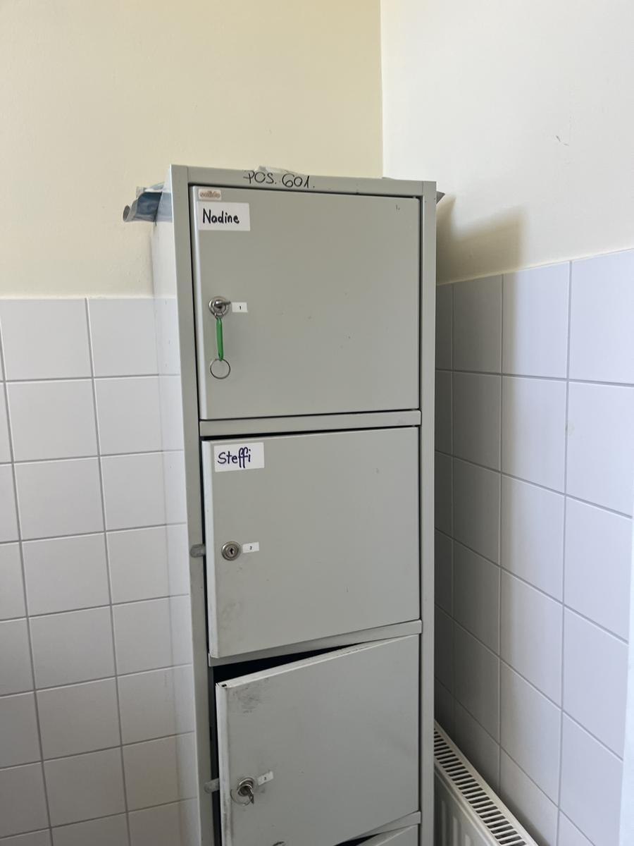 Handtaschenspind 6 Fächer mit 4 Schlüssel 35/50/195 cm?d=2025-09-14 00:01:09