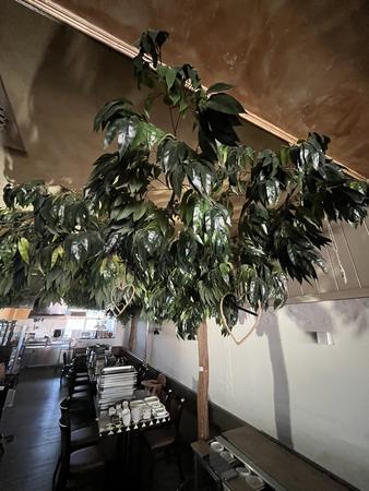 4 Stck Kunst-,Dekobume - im Lokal verteilt