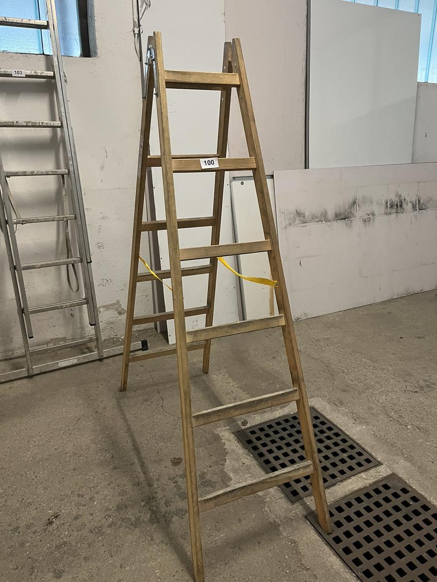 Holz-,Doppelstehleiter Steiner neuwertig 2 x 6 Sprossen?d=2025-11-29 09:48:03