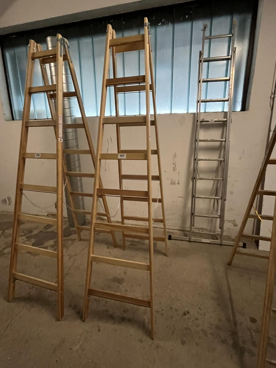 Holz-,Doppelstehleiter Steiner neuwertig 2 x 8 Sprossen