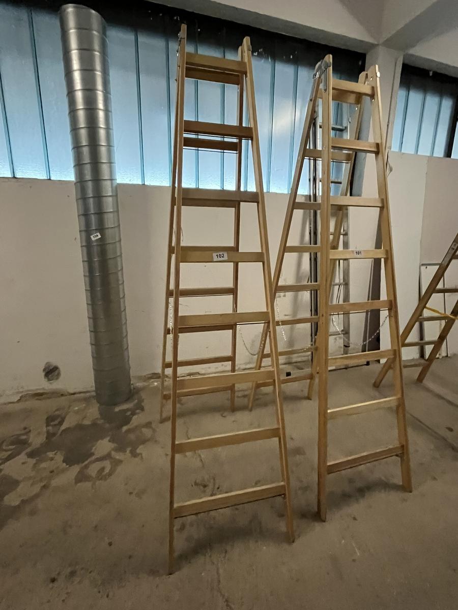 Holz-,Doppelstehleiter Steiner neuwertig 2 x 8 Sprossen?d=2025-11-29 09:48:04