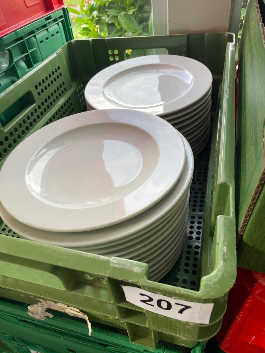 25 Stk. Fleischteller, rund, DM 25cm?d=2025-11-23 15:42:37