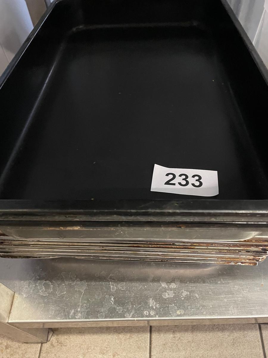 15 Stk. Bleche 1/1 mit 4cm, 3 Stk. Bleche 1/1 mit 8 cm, 2 Stk. Lochgitter 1/1 mit 3 cm?d=2025-11-23 15:43:59