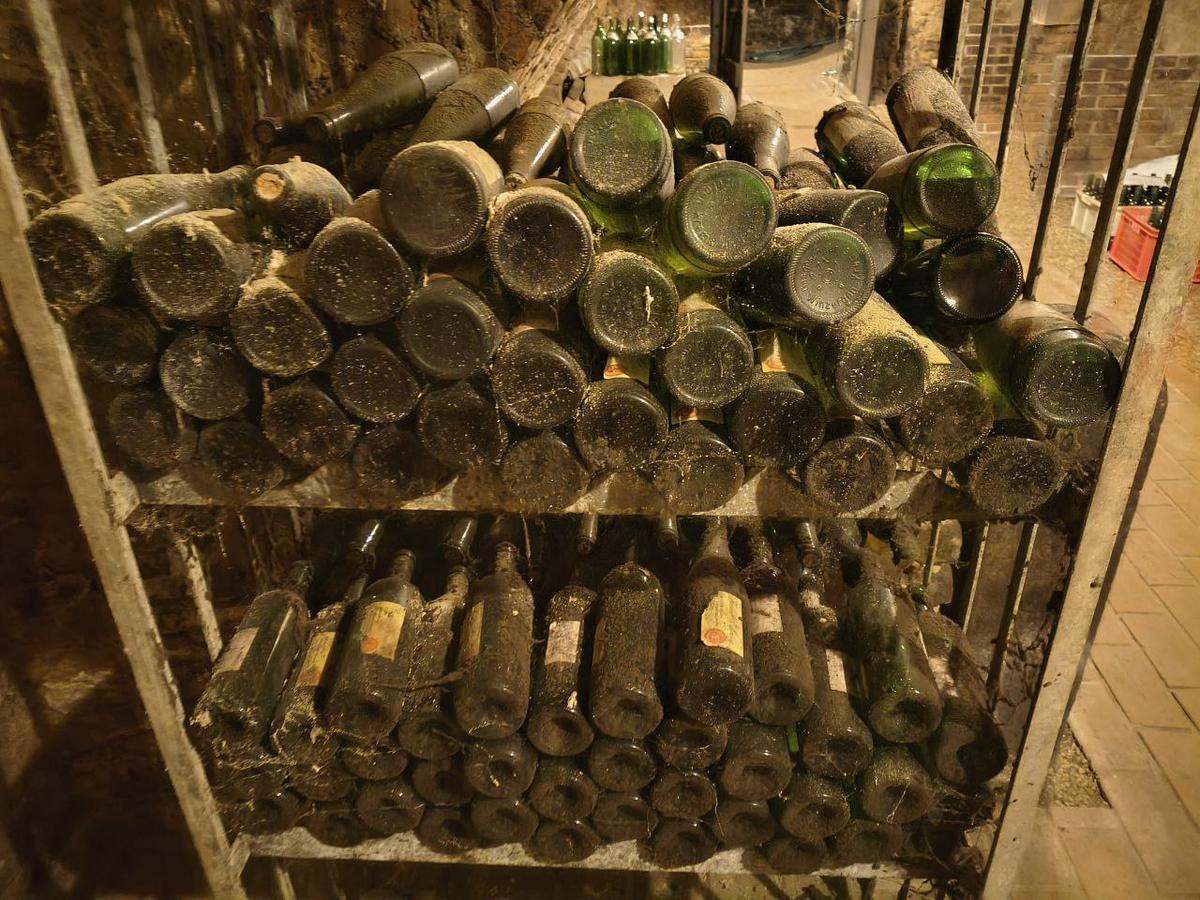 200 Flaschen Rheinriesling Kabinett 1990, Winzer Krems, trocken, 12%, 0.75l, Kork, absolute Rarit&auml;t, perfekte Lagerung im Weinkeller