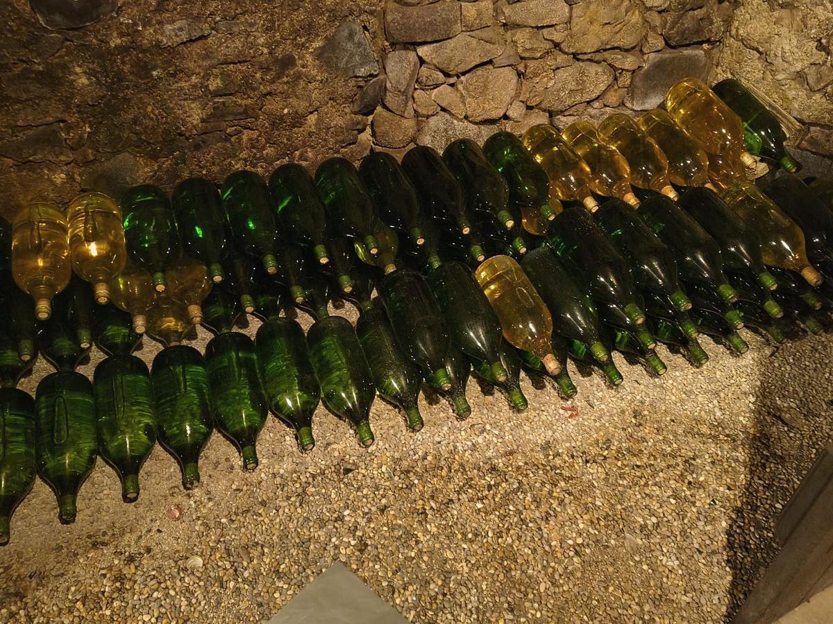 293 Flaschen Riesling 2019, Bio-Weingut Berger Grinzing, trocken, Pr&uuml;fnr. 225/20, 12,2%, altersfirnig, Altwein, 39 Flaschen &agrave; 0.75L, 170 Flaschen &agrave; 1L, 84 Flaschen &agrave; 2L?d=2026-02-20 01:27:21