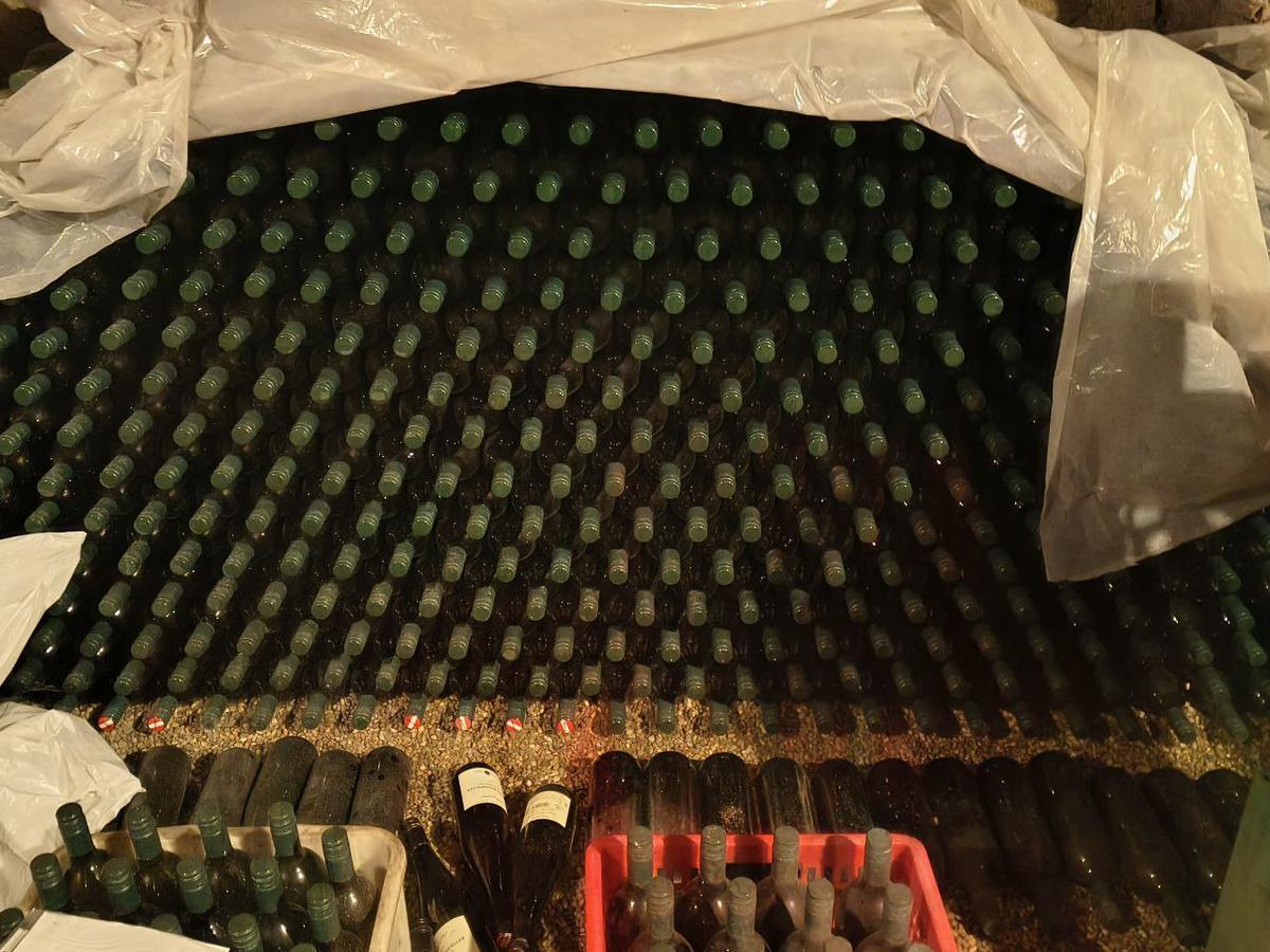 356 Flaschen Riesling 2018, Bio-Weingut Berger Grinzing, trocken, Pr&uuml;fnr. K18/19, 12,5%, Altwein, Juchten, mit noch feiner S&auml;urestruktur, 317 Flasche &agrave; 1L, 39 x Bouteillen 0.75