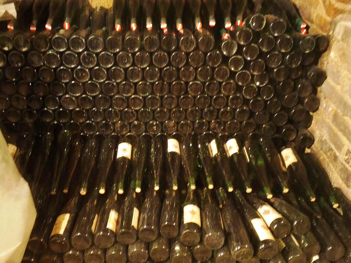 Riesling 2016, Bio-Weingut Berger Grinzing, trocken, Pr&uuml;fnr. N12513/17, 12,9%, blank, Alterl, Juchten, edelfirnig, Altwein, 800 Bouteillen 0.75L, Schrauber?d=2026-02-20 01:27:26