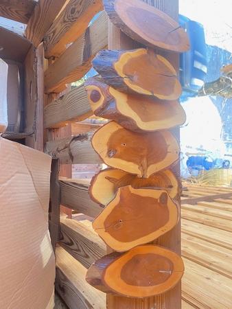 5 Holzschilder f�r Troph�en