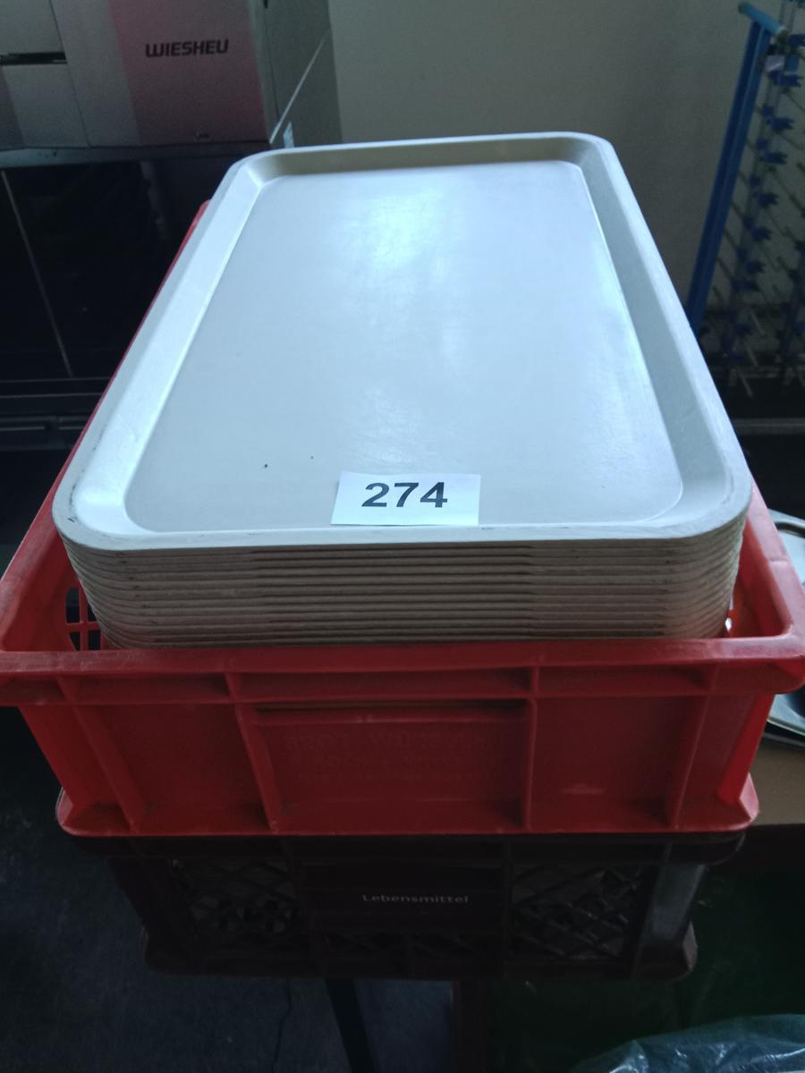 ca. 50 Stk. Plastiktablett?d=2026-03-04 19:53:27