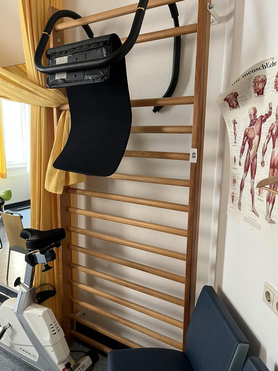 Sprossenwand mit Wandhalterung, ca. 100x240cm?d=2026-03-09 22:31:19