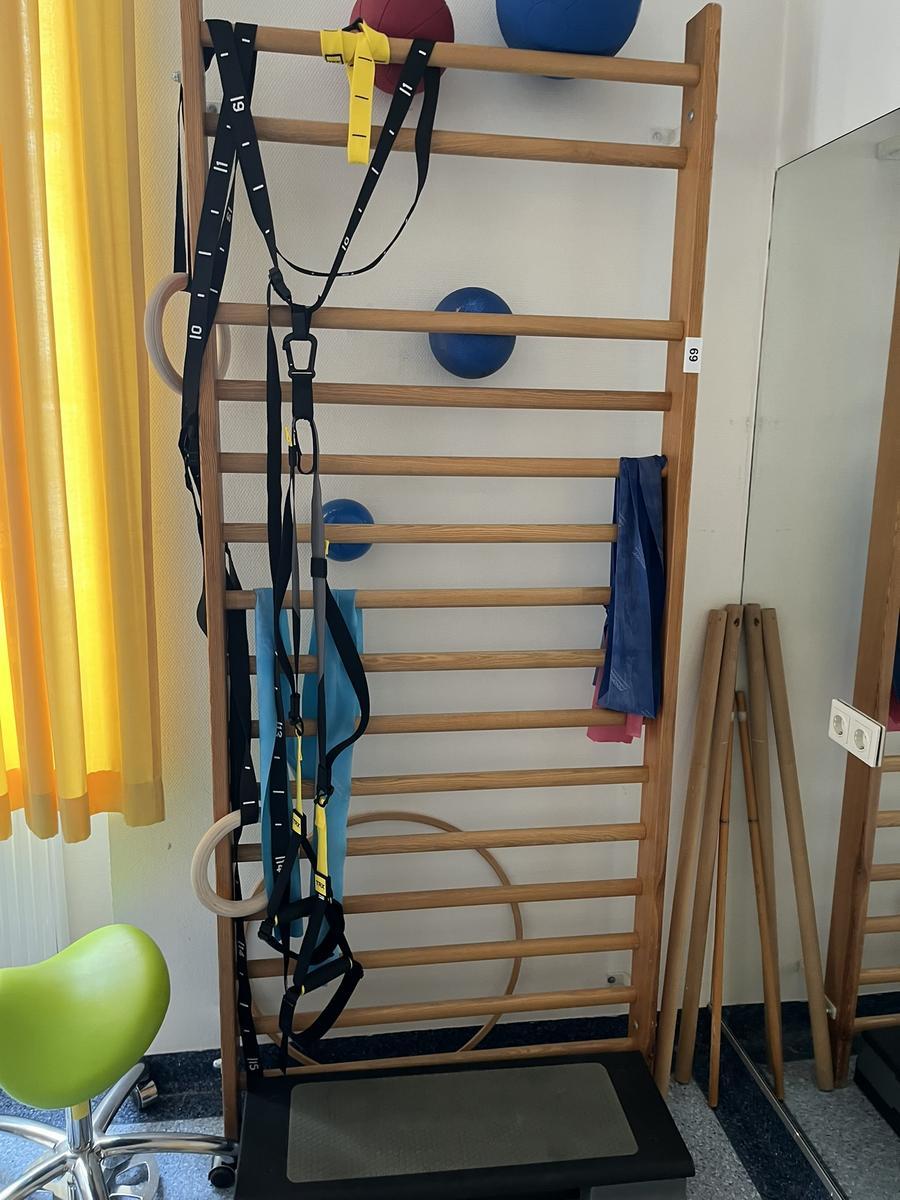 Sprossenwand mit Wandhalterung, ca. 100x240cm?d=2026-03-09 22:31:20