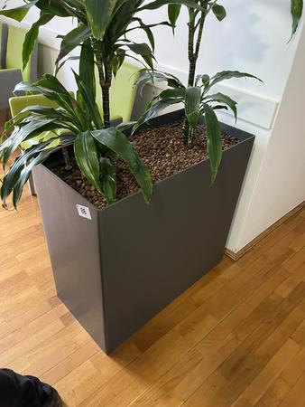 Hydro Pflanze, ca. 80x40x75cm