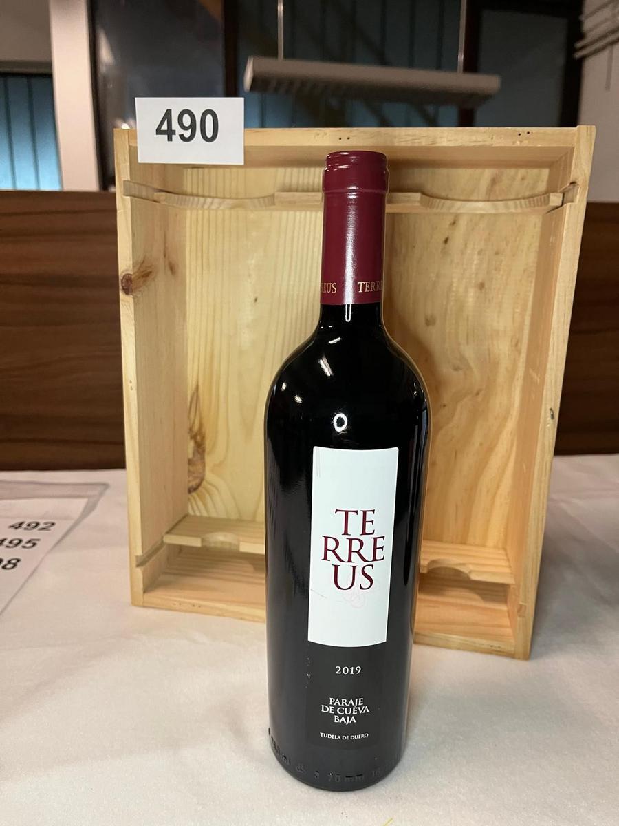 2 Stk. Terreus 2019 Paraje de Cueva Baja?d=2026-04-10 14:41:57