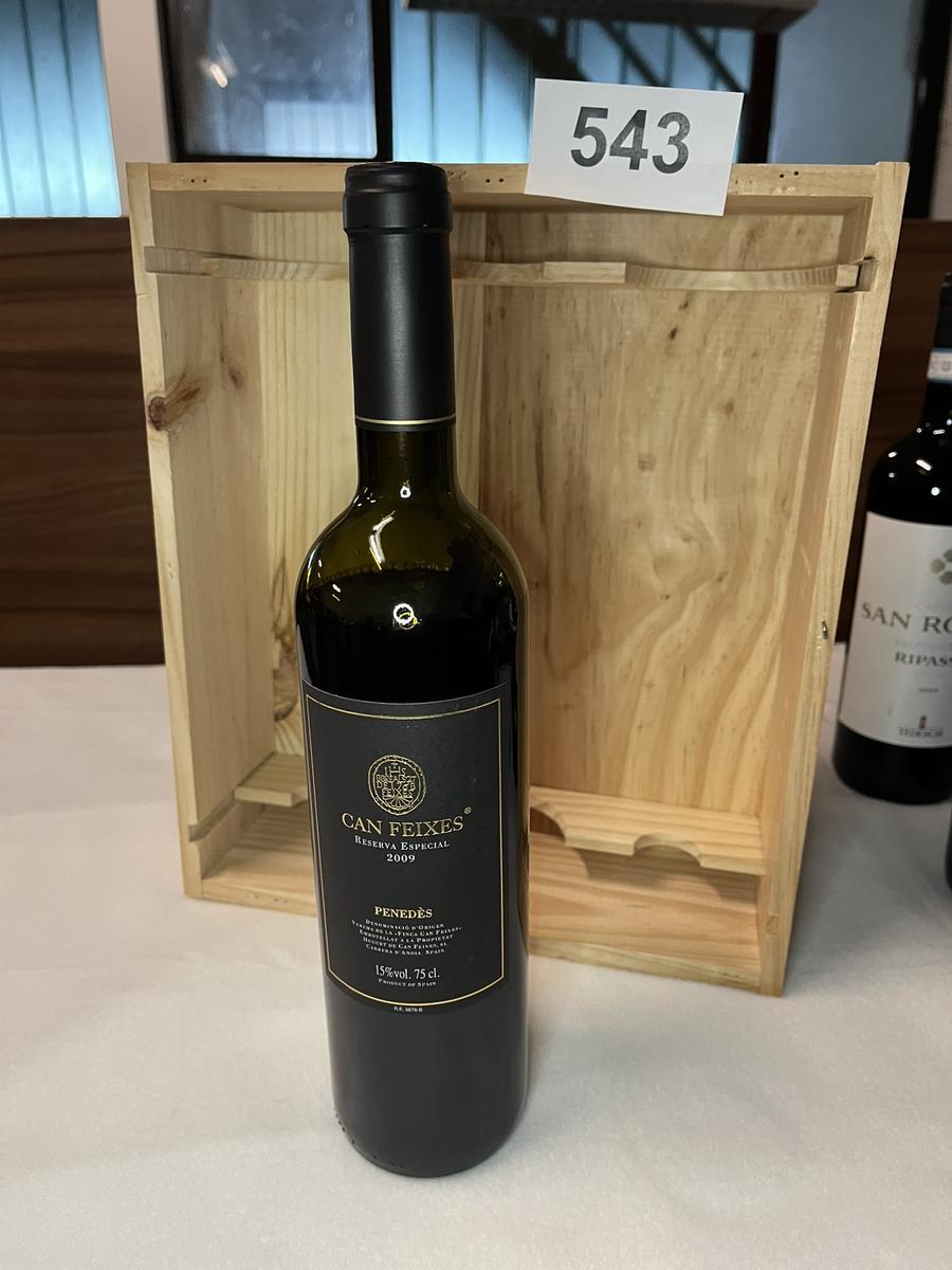 10 Stk. CAN FEIXES 2009 Reserva Especial Penedes?d=2026-04-10 16:07:00