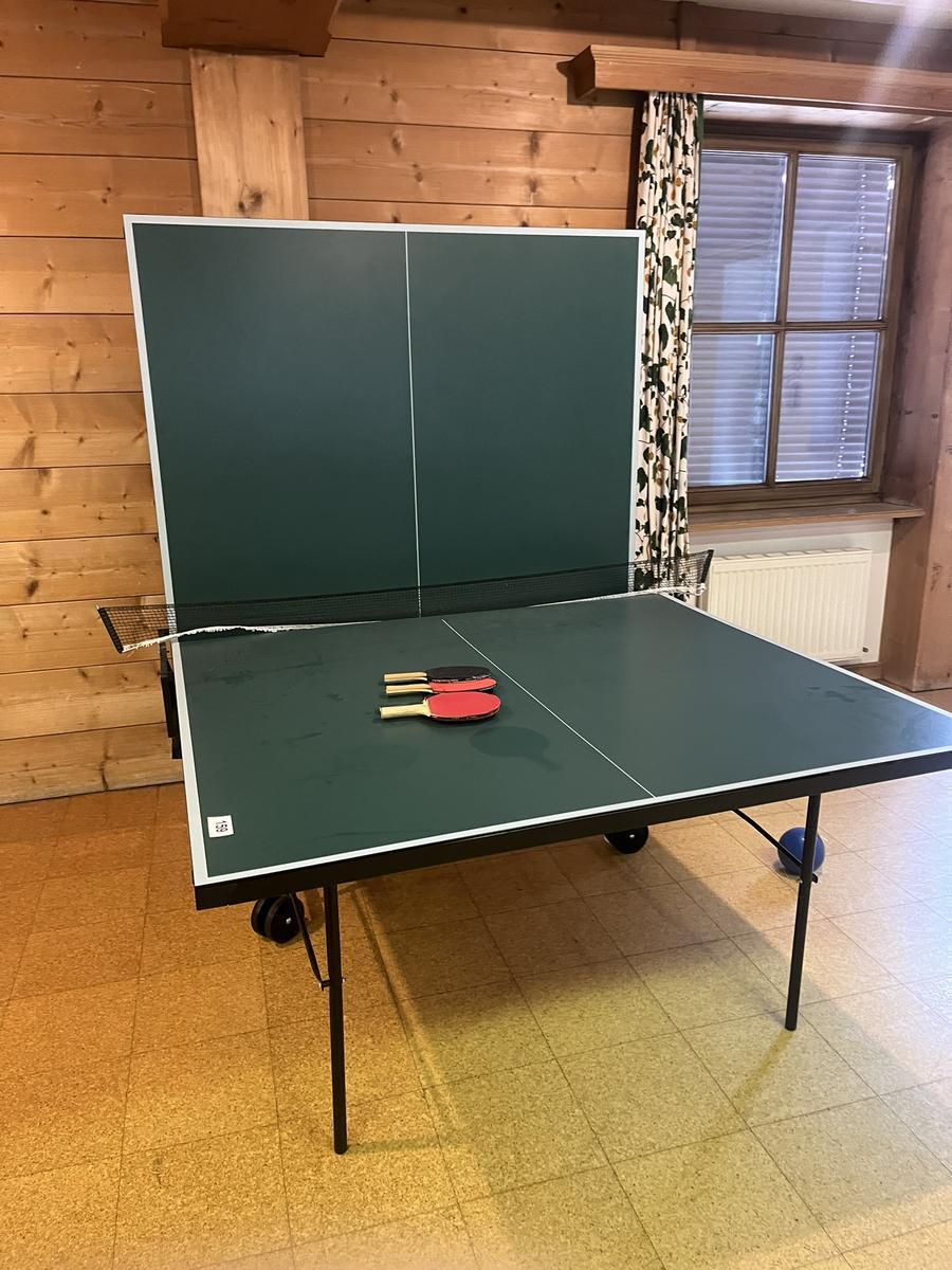 Tischtennistisch, Schildkr&ouml;t, 270 x 152?d=2026-04-15 03:17:54