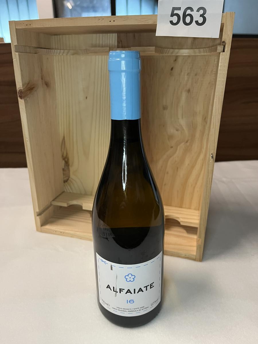 9 Stk. ALFAIATE 16?d=2026-04-29 23:32:41