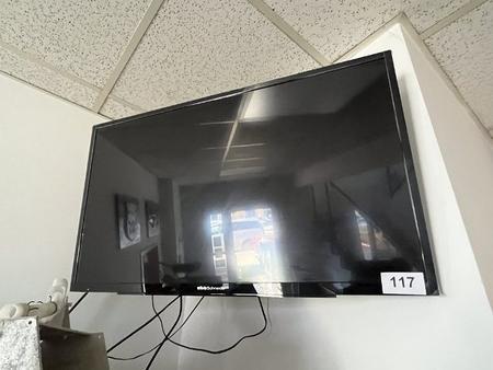 Silva Schneider TV-Ger�t, Diagonale ca. 100 cm
