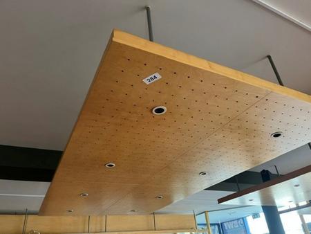 Abgeh�ngtes Deckenpaneel mit Beleuchtung ca. 290/110 cm
